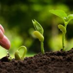 Cómo Mejorar la Sustentabilidad Económica: Estrategias y Ejemplos Prácticos