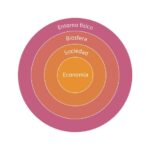 Explora los diversos modelos económicos existentes y su impacto en la sociedad global moderna