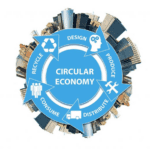 Dónde se Aplica la Economía Circular: Sectores y Casos de Éxito