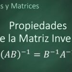 Guía paso a paso para determinar la matriz inversa