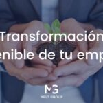 Qué Estrategias Pueden Promover la Sustentabilidad: Soluciones Innovadoras